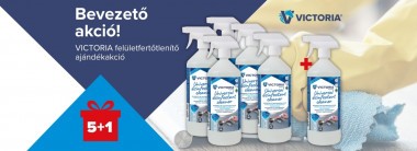 Bevezető akció 5+1